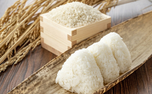 鴨川市長狭地区で作られる「長狭米」は冷めても美味しいと評判で、おにぎりやお弁当にもピッタリです。