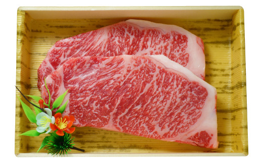 GI認証 くまもとあか牛 サーロイン ステーキ 200g×2 和牛 牛肉