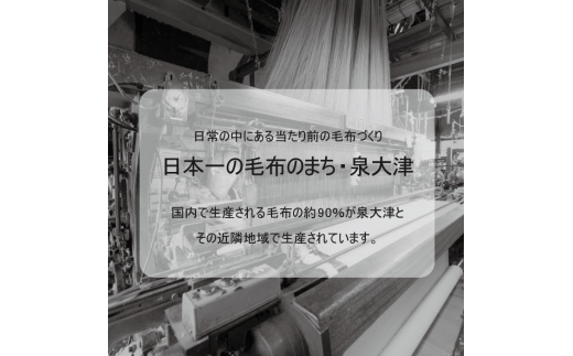 綿毛布 半袖スリーパー (Mサイズ) 2way仕様で暖か、アッシュグリーン