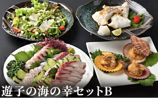 遊子 海の幸 セット B 詰め合わせ 真鯛 ハマチ タイカマ ヒオウギ貝 愛媛県漁業協同組合遊子支所 冷凍 国産 愛媛 宇和島 D020-022003