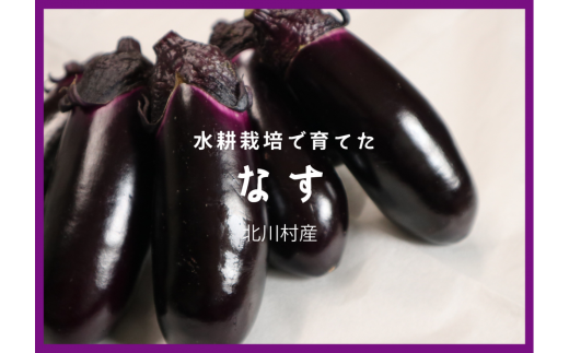 水耕栽培で育てた「茄子」２㎏ 790410 - 高知県北川村