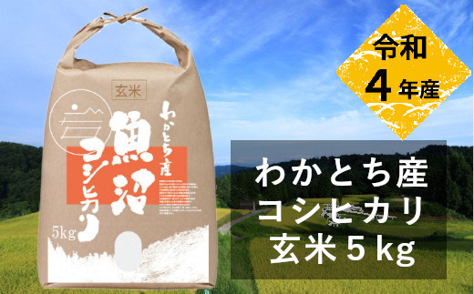 日本一のブランド米「魚沼産コシヒカリ」玄米