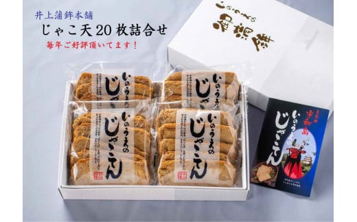 じゃこ天 枚 井上蒲鉾本舗 冷蔵 郷土料理 おつまみ 肴 魚肉加工品 特産品 国産 愛媛 宇和島 C010 愛媛県宇和島市 ふるさとチョイス ふるさと納税サイト