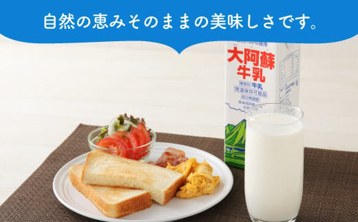 【6ヶ月定期便】大阿蘇牛乳 1L×6本×6ヶ月 合計36L 紙パック 牛乳 成分無調整牛乳 常温保存可能