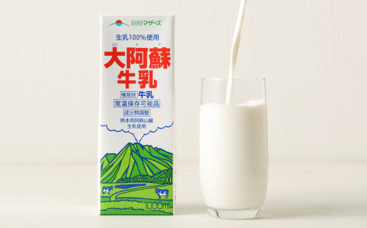 【12ヶ月定期便】大阿蘇牛乳 1L×6本×12ヶ月 合計72L 紙パック 牛乳 成分無調整牛乳 常温保存可能