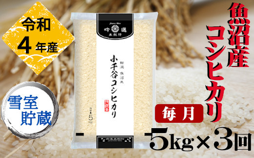 r05-030-005ki 【頒布会】令和4年産 雪室貯蔵 魚沼産コシヒカリ5kg×3回コース（毎月お届け）（定期便）白米 魚沼 米 定期便