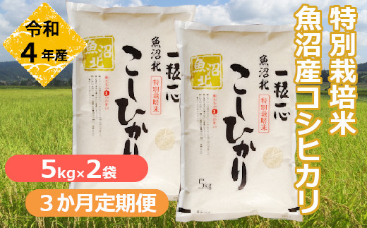 r05-060-007G 【令和4年産】特別栽培米 魚沼産コシヒカリ10kg（3か月定期便）((有)グリーン）白米 魚沼 米 定期便