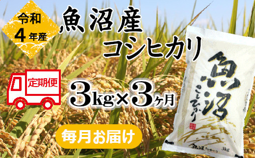 r05-022-004BE 令和4年産 魚沼産コシヒカリ定期便 3kg×3回【毎月お届け】 和紙製P袋 （小千谷米穀）白米 魚沼 米 定期便