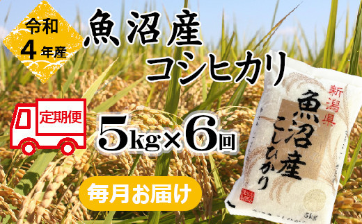 r05-053-003BE 令和4年産 魚沼産コシヒカリ 定期便 5kg×6回【毎月お届け】（小千谷米穀）白米 魚沼 米 定期便