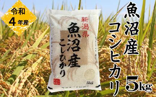 セール専門店 Lala様ご専用 自然栽培 R4年度米愛媛県産ヒノヒカリ稲架