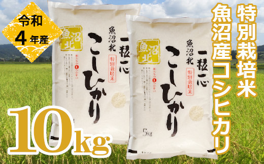 r05-020-019G 【令和4年産】特別栽培米 魚沼産コシヒカリ10kg(5kg×2袋 ...