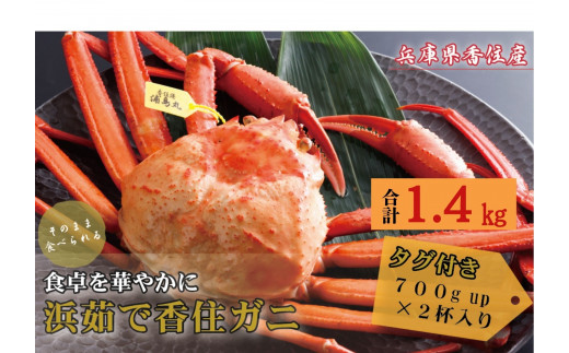 【タグ付き 浜茹で 香住ガニ】 700g以上×2杯 合計1.4kg以上 カニの本場 香住産 選ばれたタグ付きの高級香住ガニです。入金確認後順次発送します。配送日指定不可 産地直送 香住漁港 大人気 甘みが強い  香住カニ 香美町 香住 かに 海鮮 ベニズワイガニ ゆで蟹 丸ごと ボイル 足 爪 むき身 かにすき しゃぶ 鍋 ポーション 丸近 19-13