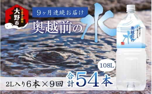 【9ヶ月連続お届け】奥越前の水 PET2L×6本 計54本 518613 - 福井県大野市