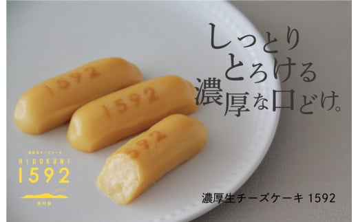 [J084-002105]南阿蘇のお菓子屋「古今堂」濃厚生チーズケーキ1592（16個入）