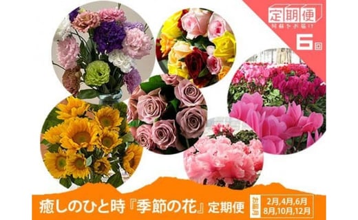 癒しのひと時 季節の花の定期便 2か月に1回お届け 全6回 熊本県阿蘇市 ふるさとチョイス ふるさと納税サイト