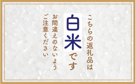 e30-c009] 定期便≪6ヶ月連続お届け≫ハナエチゼン 5kg × 6回 令和5年