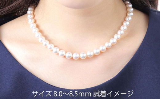 1660-05】老舗の真珠専門店・オーロラ天女アコヤ真珠ネックレスセット