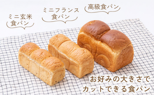 6回定期便】米粉パン バラエティ 10個セット （食パン×3・クロワッサン