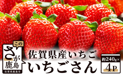 【予約受付】 佐賀県産いちご 「いちごさん」 約240ｇ×4パック B-465 486633 - 佐賀県鹿島市