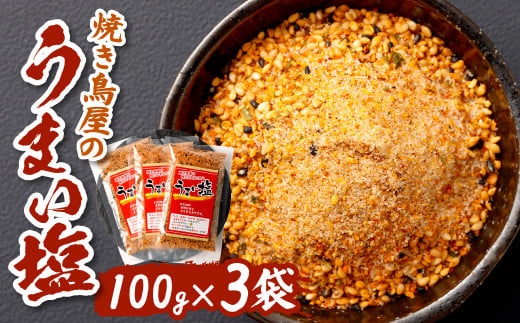 お料理や素材の味をより引き立てます 焼き鳥屋の うまい塩 100g×3袋 塩 492018 - 福岡県北九州市