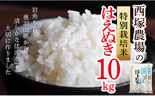 N013-R4-02 「山形県ベストアグリ賞受賞」特別栽培米はえぬき10㎏