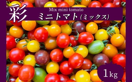 サザキ農園　ミニトマト彩りセット（ミックス）　1kg