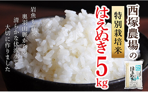 N007-R4-02 「山形県ベストアグリ賞受賞」特別栽培米はえぬき5㎏