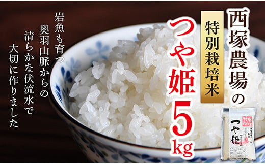 【令和6年産予約】特別栽培米　つや姫　白米　5kg×1 848234 - 山形県最上町