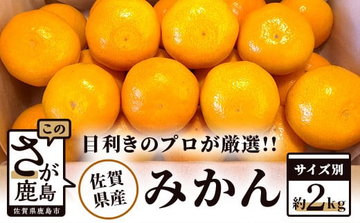 【予約受付】AA-38【目利きのプロが厳選】佐賀県産みかん　約2kg（サイズ別） 486631 - 佐賀県鹿島市