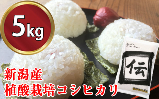 No.189 加茂市産コシヒカリ玄米1等米 30kg ／ お米 こしひかり 一等米 