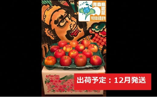 りんご 【 12月発送 】 訳あり 家庭用 葉とらず サンふじ 約 10kg 青森県特別栽培農産物認証農園 【 弘前市産 青森りんご 】 893694 - 青森県弘前市