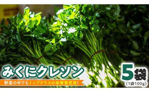 【 先行予約 】 みくにクレソン100g×5袋 美容 健康 野菜 スーパーフード [CY001ci]