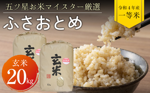 お米 令和元年 愛媛県産あきたこまち 白米 30㎏ - 米/穀物