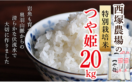 N030-R4-01 【白米】「山形県ベストアグリ賞受賞」特別栽培米 つや姫20