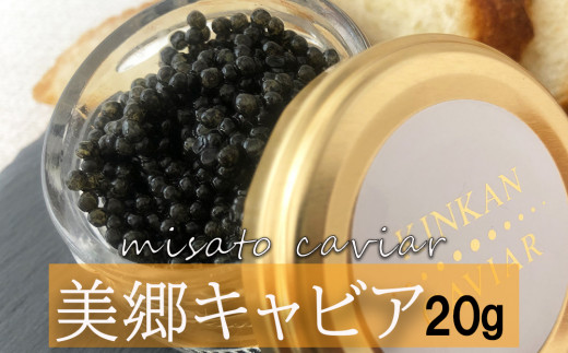 2023年2月】ふるさと納税でもらえるキャビアの還元率・コスパ ...