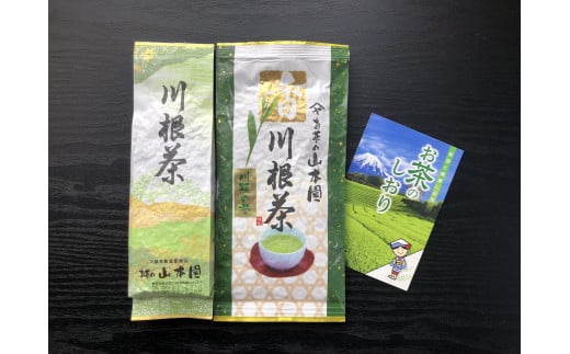 厳選川根茶 ２種おすすめセット