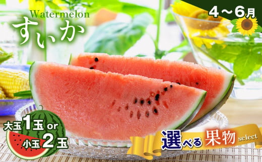 すいか | 旬のフルーツ 4月〜6月 | 熊本県 熊本 くまもと 和水町 なごみ 季節限定 季節の果物 フルーツ スイカ 西瓜
