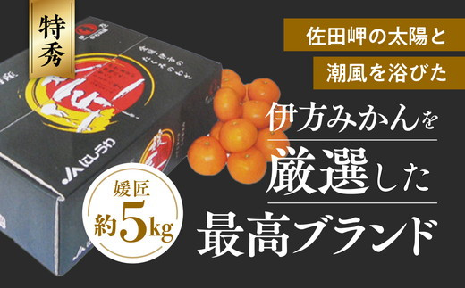 最高級みかん「出島の華」約５キロ品種‥させぼ温州