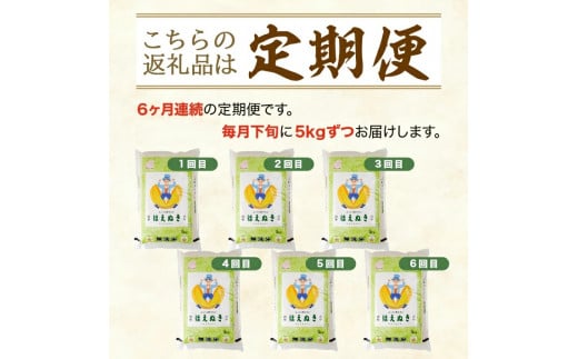 山形県酒田市のふるさと納税 SH0022　【6回定期便】無洗米 はえぬき　5kg×6回(計30kg) TO