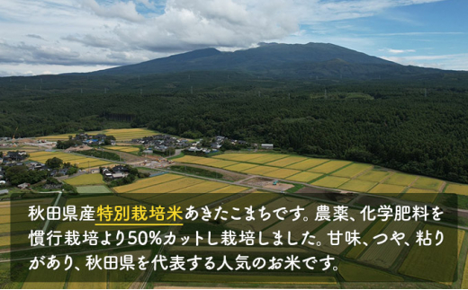 令和4年産 秋田県産 特別栽培米 あきたこまち20kg（20kg 1袋 玄米