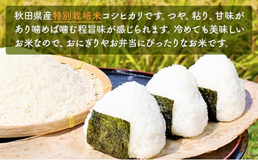 令和4年産 秋田県産 特別栽培米 コシヒカリ 20kg（20kg 1袋 玄米） - 秋田県にかほ市｜ふるさとチョイス - ふるさと納税サイト