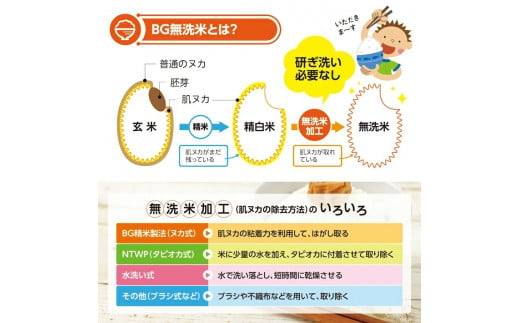 山形県酒田市のふるさと納税 SH0022　【6回定期便】無洗米 はえぬき　5kg×6回(計30kg) TO