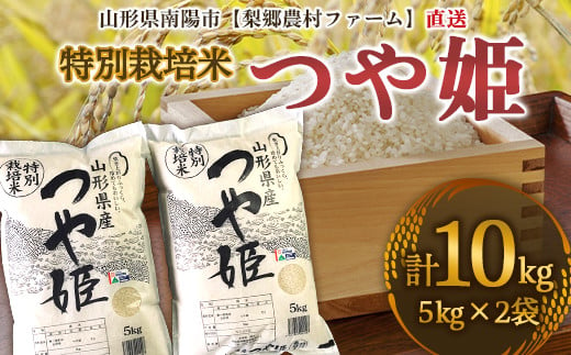令和3年 山形県庄内産 つや姫 玄米25kg Ｇセレクション 特別栽培米