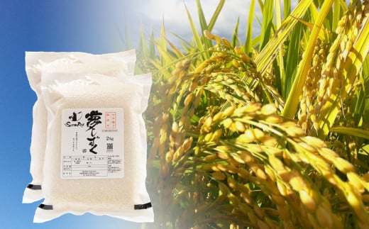 [定期便]夢しずく 七分搗き胚芽付き無洗米 2kg×2×4[佐賀県産米 / 4回定期便]