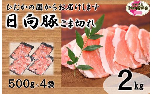 豚肉 小分け★日向豚小間切れ2kg[10-05]