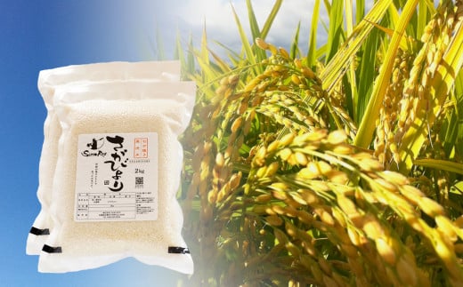 [伊勢神宮奉納米]さがびより 七分搗き胚芽付き無洗米 2kg×2