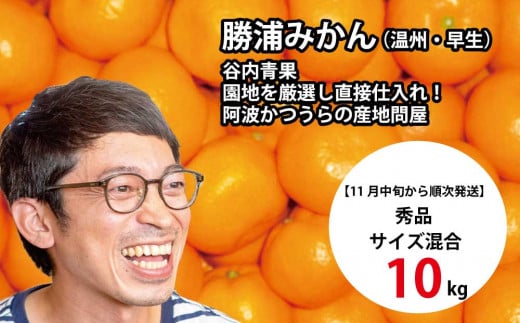 谷内青果 早生みかん 秀品 サイズ混合 10kg 782841 - 徳島県勝浦町