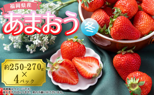 3V2 【冬】福岡産あまおう4パック 500551 - 福岡県東峰村