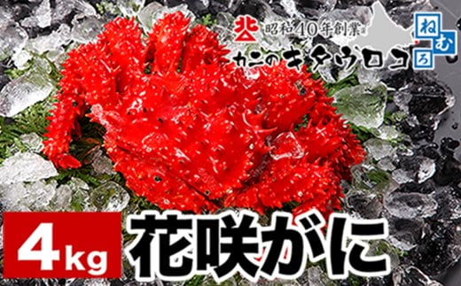 C-25017 【北海道根室産】花咲がに姿 8～10尾(計4kg) 499170 - 北海道根室市