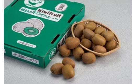 キウイフルーツ 3.6kg　 新潟県 五泉市　橋田キウイフルーツ生産組合